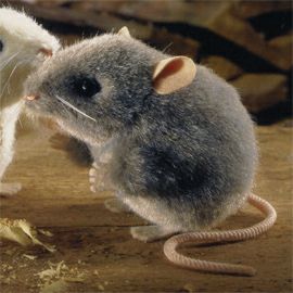 ケーセン Koesen ぬいぐるみ ねずみ グレー