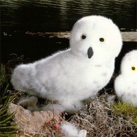 ケーセン Koesen ぬいぐるみ シロフクロウ