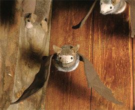 ケーセン Koesen ぬいぐるみ こうもり こげ茶