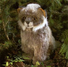 ※ご予約済みドイツ　KOSEN ケーセン社　オオヤマネコ　山猫　伏せ Amazon.co.jp: オオヤマネコ 伏せ ソフト KOSEN(ケーセン社) 59cm Lynx