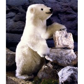 ケーセン Koesen ぬいぐるみ 限定500 白クマ どろんこシュムーデル