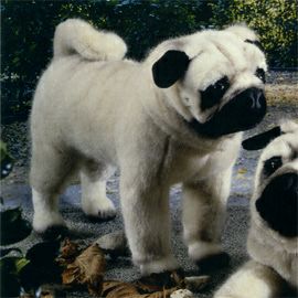 ケーセン Koesen ぬいぐるみ パグ 立ち