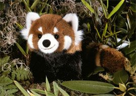 ケーセン Koesen ぬいぐるみ レッサーパンダ