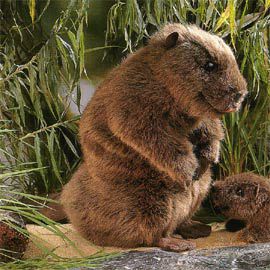ケーセン Koesen ぬいぐるみ ビーバー（大）