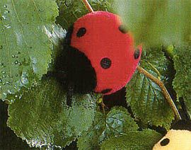 ケーセン Koesen ぬいぐるみ てんとう虫 赤