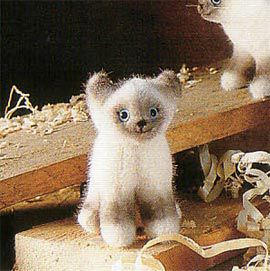 ケーセン Koesen ぬいぐるみ マスコット バーマンの子 座り