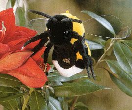 ケーセン Koesen ぬいぐるみ マルハナバチ