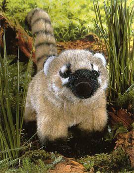 主として肉食をする動物 | 木のおもちゃ がりとん