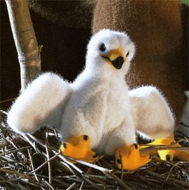 ケーセン Koesen ぬいぐるみ ワシの子