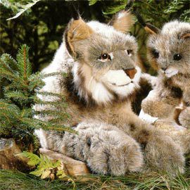 ケーセン Koesen ぬいぐるみ オオヤマネコ 伏せ ソフト LYNX LYING