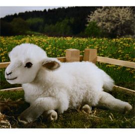ケーセン Koesen ぬいぐるみ ねそべり子羊 LAMBKIN LYING