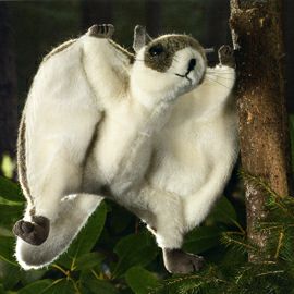 ケーセン Koesen ぬいぐるみ モモンガ FLYING SQUIRREL
