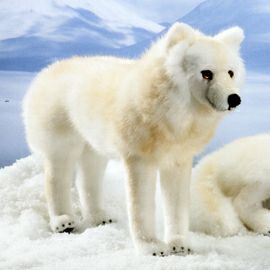 ケーセン Koesen ぬいぐるみ ホッキョクオオカミ 立ち POLAR WOLF STANDING