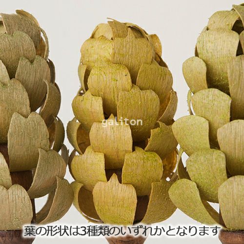 【xmas限定販売】 クリスティアンヴェルナー Christian Werner ヴェルナーの木 緑 9cm