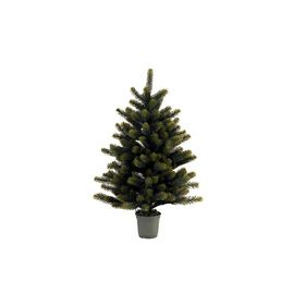 【予約販売】RSグローバルトレード社 RS GLOBAL TRADE シュヴァルツヴァルトツリー（クリスマスツリー） 90cm TANNE PREMIUM《納期:2025年10月頃の見込み》※キャンセル不可※