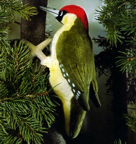 ケーセン Koesen ぬいぐるみ ヨーロッパアオゲラ EURASIEN GREEN WOODPECKER