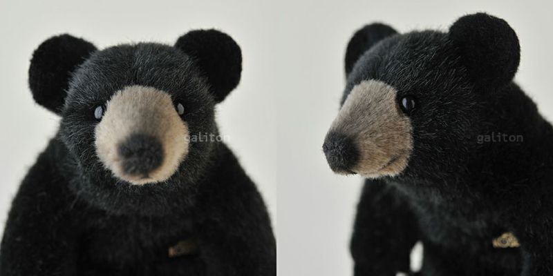 ケーセン Koesen ぬいぐるみ お座りベア 黒 BLACK BEAR