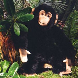 ケーセン Koesen ぬいぐるみ チンパンジー CHIMPANZEE