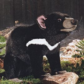 ケーセン Koesen ぬいぐるみ タスマニアンデビル