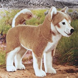 ケーセン Koesen ぬいぐるみ 柴犬(大)
