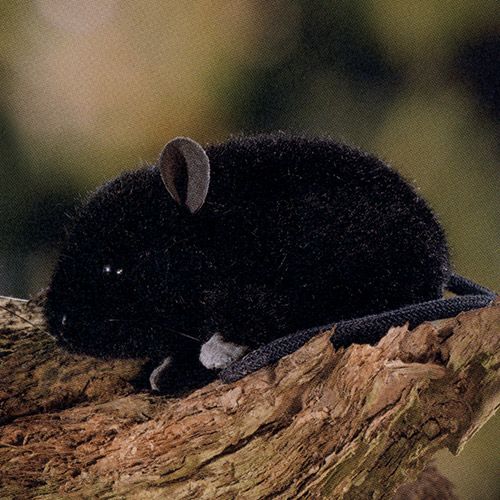 ケーセン Koesen ぬいぐるみ ねずみ 黒