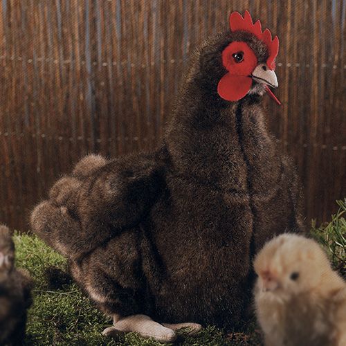 ケーセン Koesen ぬいぐるみ めんどり ソフト 茶