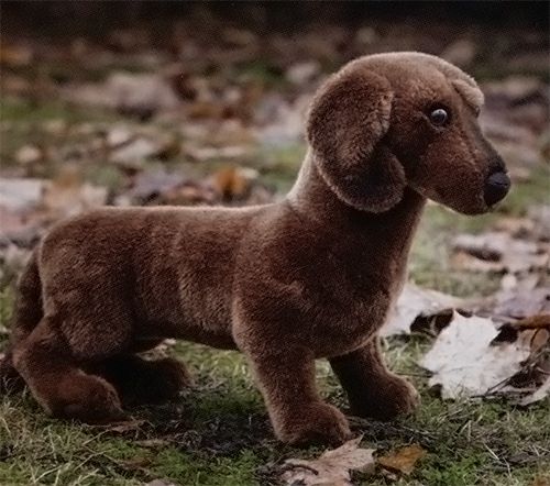 ケーセン Koesen ぬいぐるみ ダックスフント 短毛 茶（大）