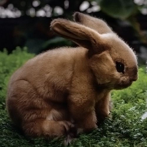 ケーセン Koesen ぬいぐるみ アナウサギ 座り ベージュ