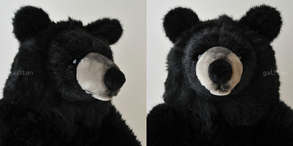 ケーセン Koesen ぬいぐるみ ソフトブラックベア 特大