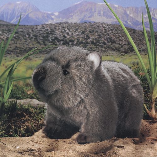 ケーセン Koesen ぬいぐるみ ウォンバットの子