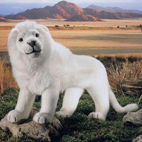 ケーセン Koesen ぬいぐるみ ホワイトライオン オス