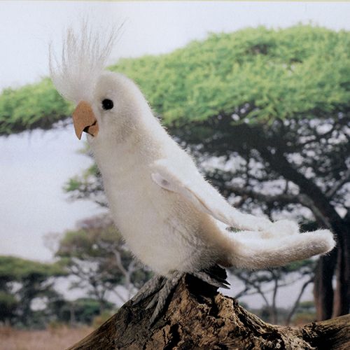 ケーセン Koesen ぬいぐるみ オカメインコ 白