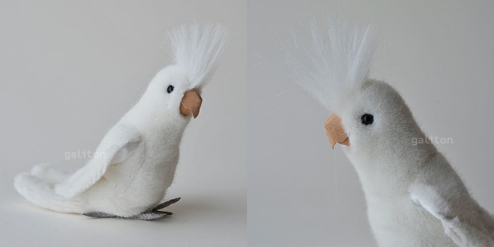 ケーセン Koesen ぬいぐるみ オカメインコ 白