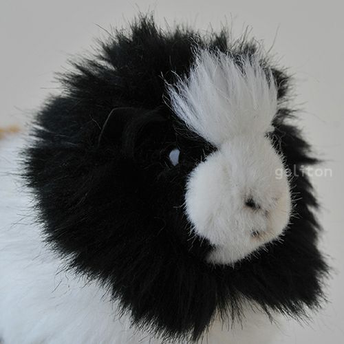 ケーセン Koesen ぬいぐるみ モルモット 三毛