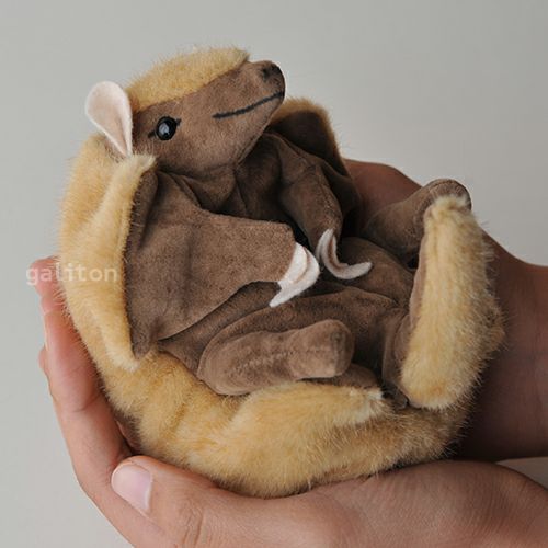 ケーセン Koesen ぬいぐるみ アルマジロ