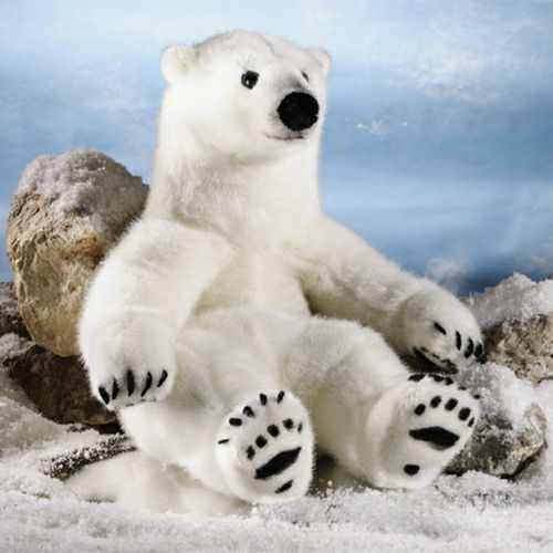 ケーセン Koesen ぬいぐるみ ホッキョクグマ（小）ソフト SMALL POLAR BEAR