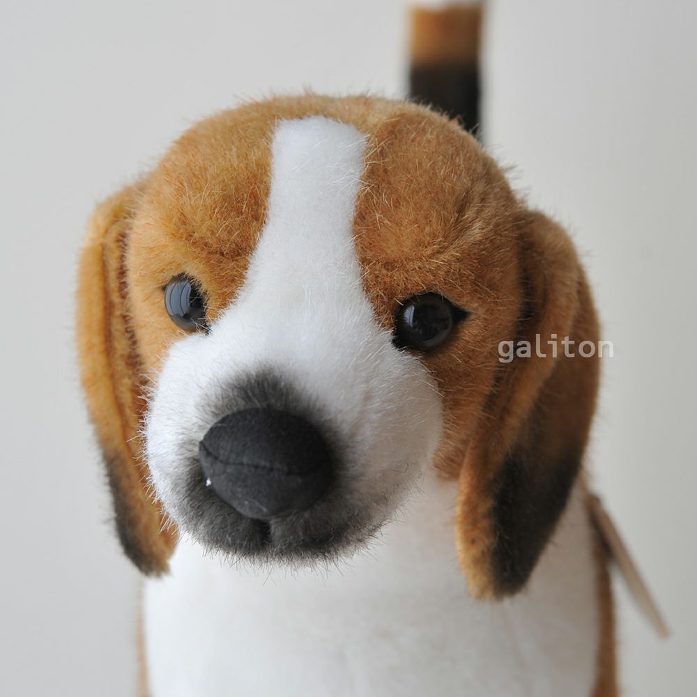 ケーセン Koesen ぬいぐるみ ビーグル BEAGLE, STANDING
