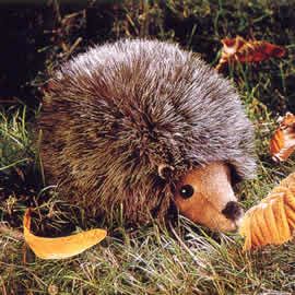 ケーセン Koesen ぬいぐるみ はりねずみ