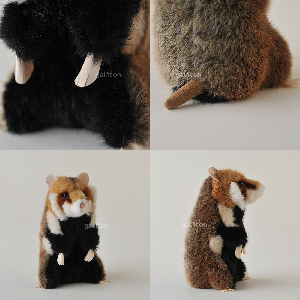 ケーセン Koesen ぬいぐるみ ヨーロッパハムスター(クロハラハムスター) Feldhamster