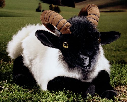 ケーセン Koesen ぬいぐるみ ねそべり角の羊（ハイドシュヌッケ） Heidschnucke, liegend