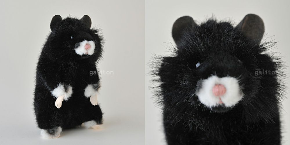 ケーセン Koesen ぬいぐるみ ヨーロッパハムスター 黒 Feldhamster, Schwarz