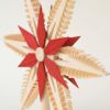 【xmas限定販売】 ツリートップ赤 24cm 216017