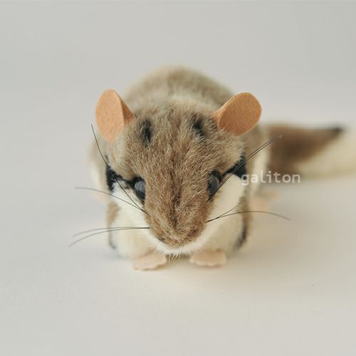 ケーセン Koesen ぬいぐるみ メガネヤマネ