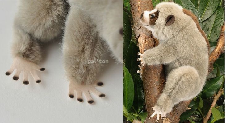 ケーセン Koesen ぬいぐるみ スローロリス