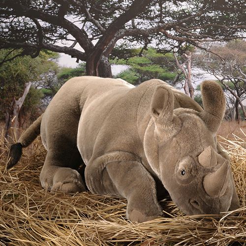 ケーセン Koesen ぬいぐるみ ねそべりさい（大）