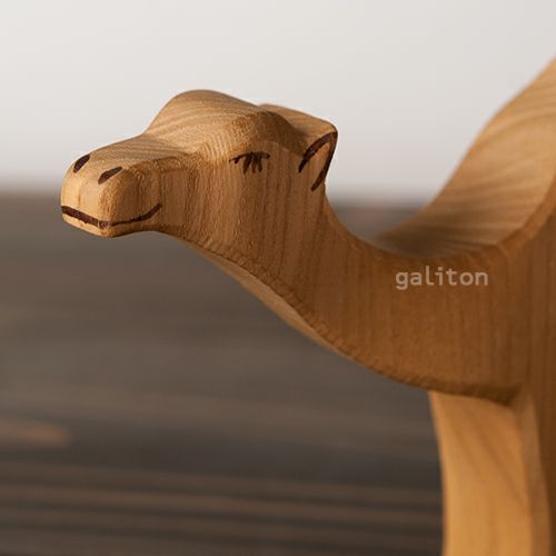 オストハイマー Ostheimer ヒトコブラクダ