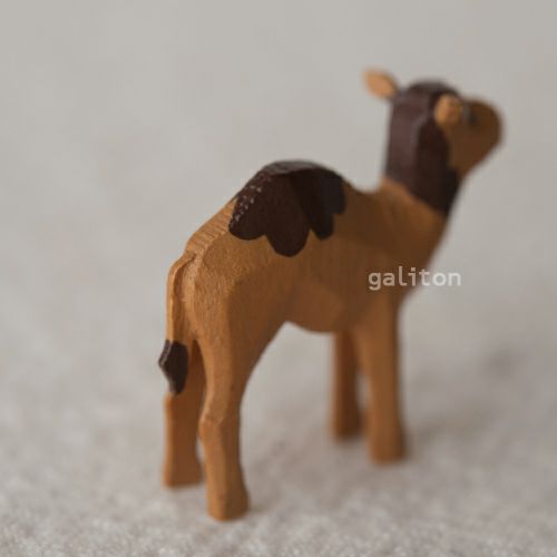 クリスティアンヴェルナー Christian Werner らくだの子（小）