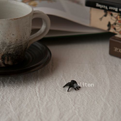 クリスティアンヴェルナー Christian Werner クモ（小）