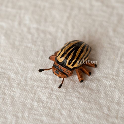 クリスティアンヴェルナー Christian Werner コロラドハムシ（小）