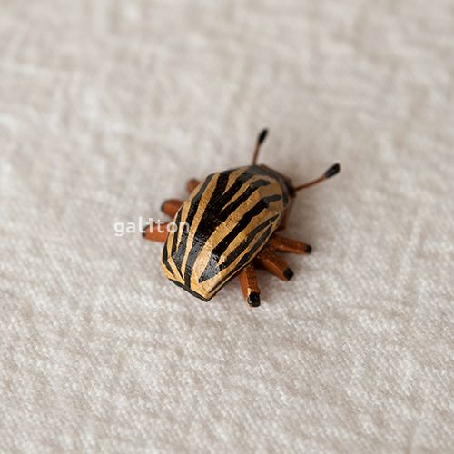 クリスティアンヴェルナー Christian Werner コロラドハムシ（小）